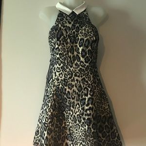 Nasty Gal cheetah print collared dress